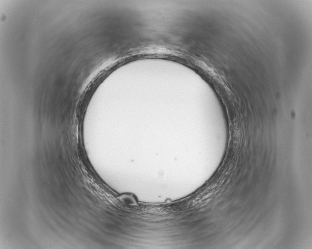 X0000086881408200705141359