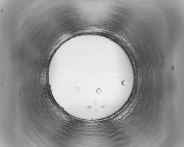 X0000086881409200705141359