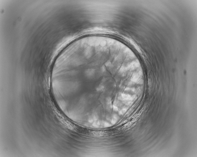 X0000086881413200705141359