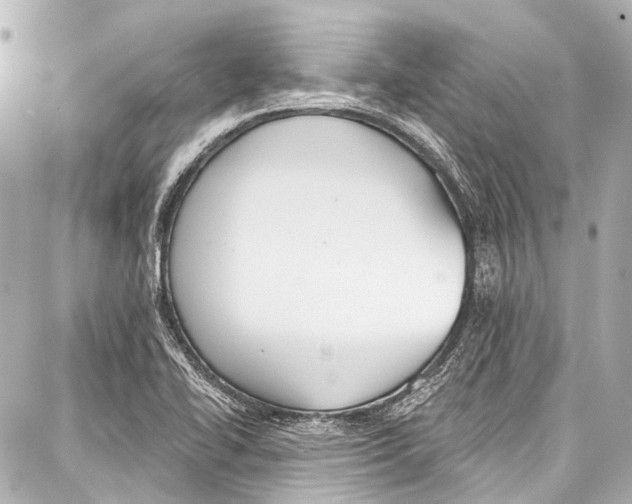 X0000086881414200705141359