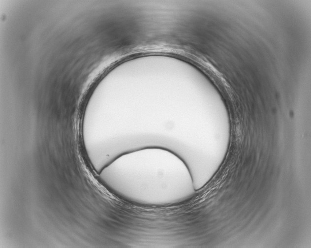 X0000086881416200705141359