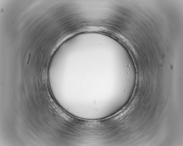 X0000086881417200705141359