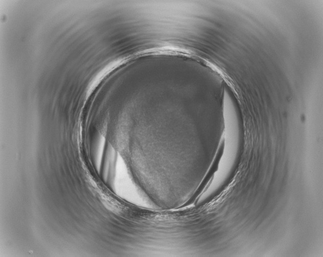 X0000086881418200705141359