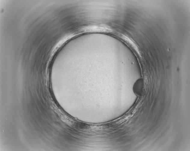 X0000086881419200705141359