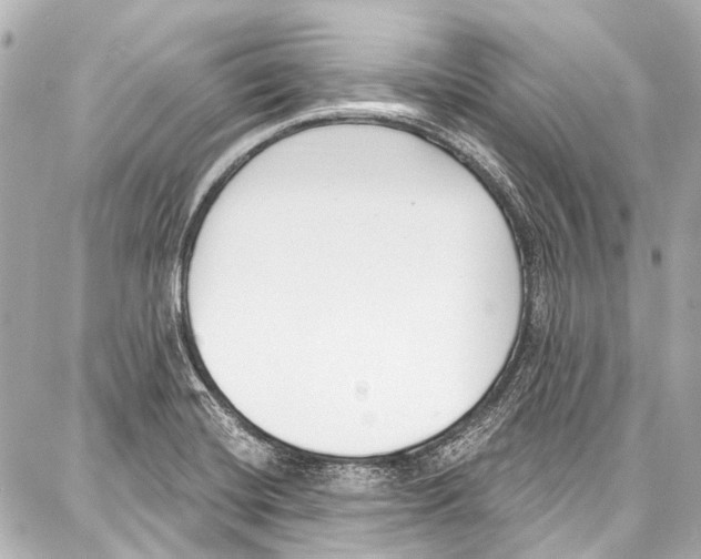 X0000086881420200705141359