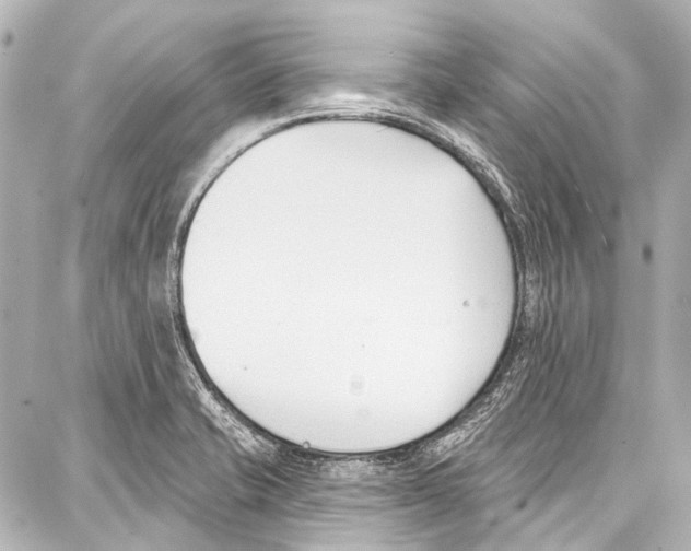 X0000086881421200705141359