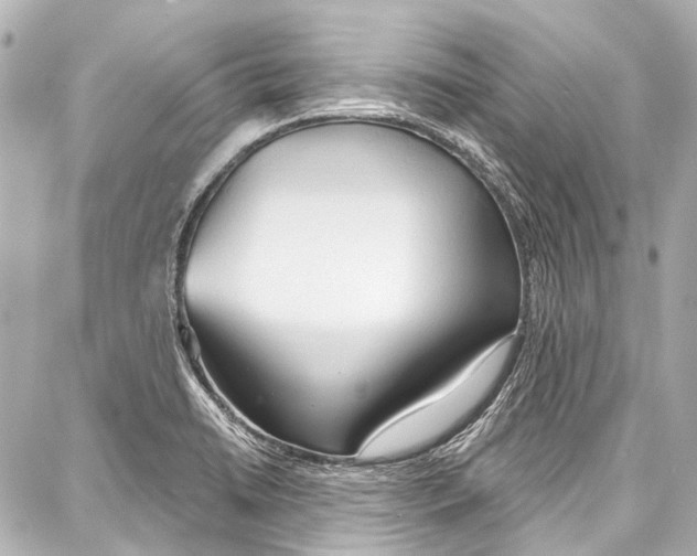 X0000086881422200705141359