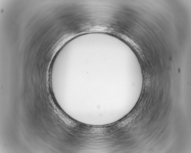 X0000086881423200705141359