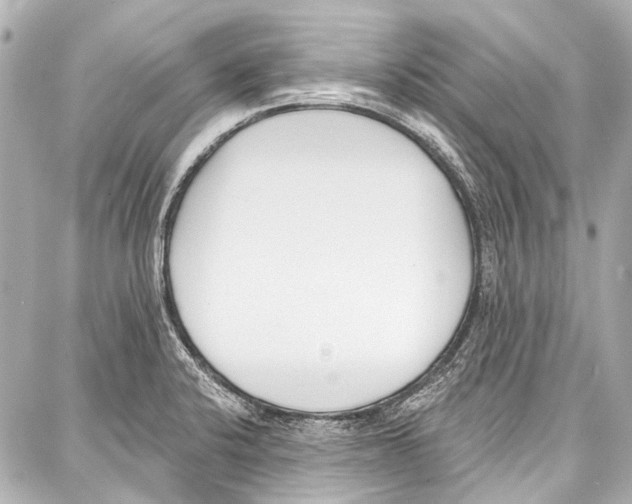 X0000086881424200705141359