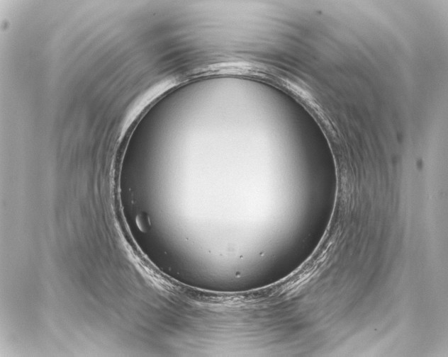 X0000086881426200705141359