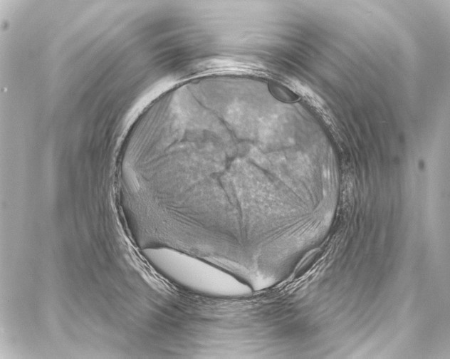 X0000086881427200705141359