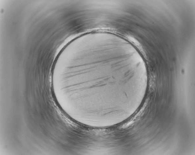 X0000086881428200705141359