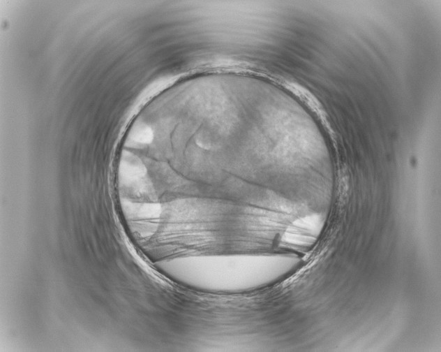 X0000086881429200705141359