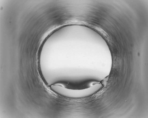 X0000086881430200705141359