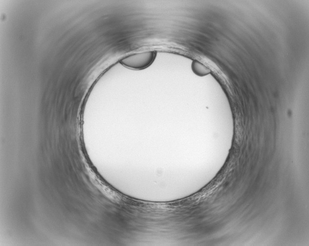 X0000086881431200705141359