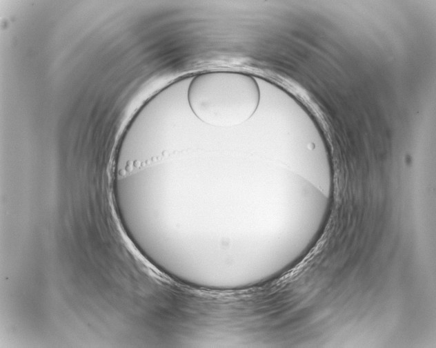 X0000086881432200705141359