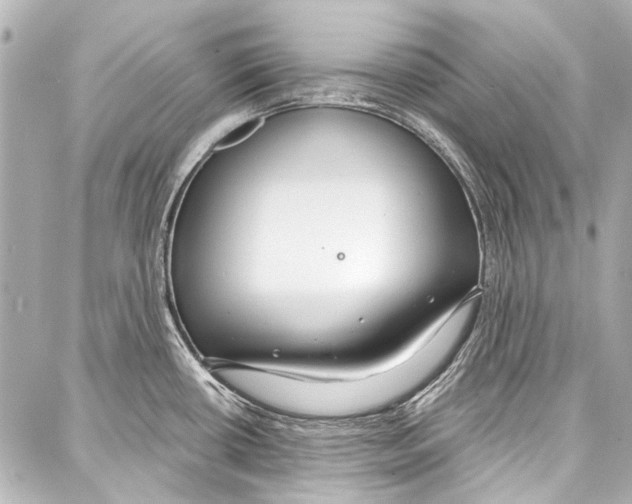 X0000086881434200705141359