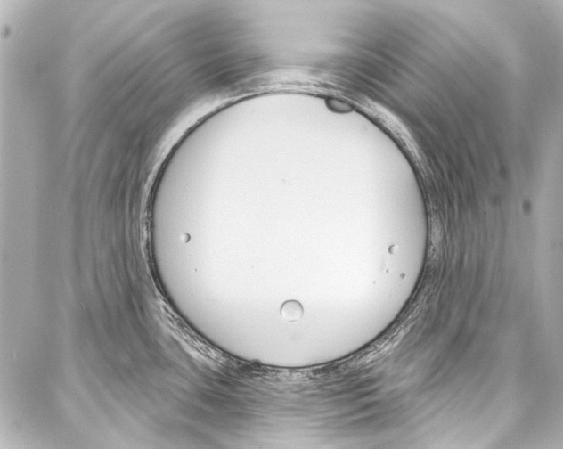 X0000086881435200705141359