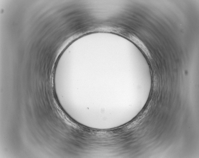 X0000086881436200705141359