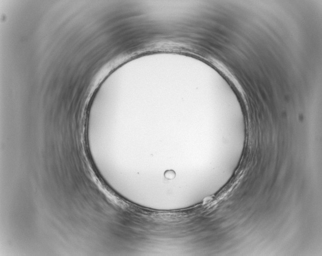 X0000086881437200705141359