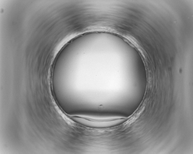 X0000086881438200705141359