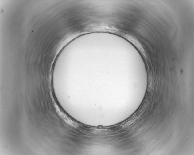 X0000086881439200705141359