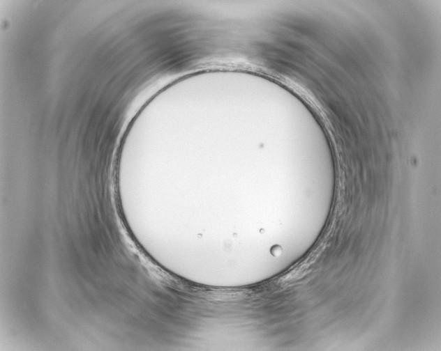 X0000086881440200705141359