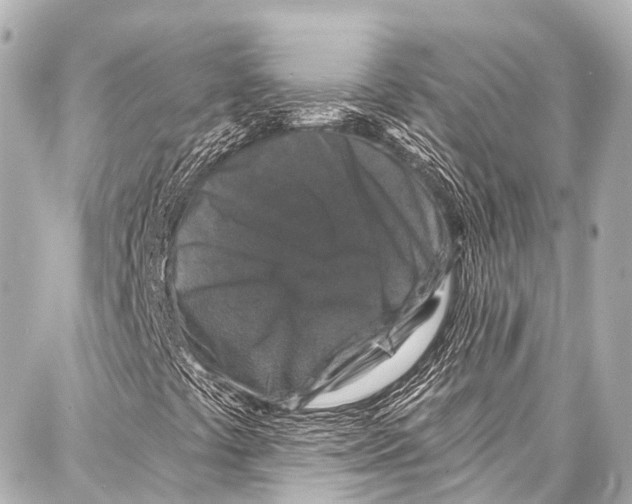 X0000086881441200705141358