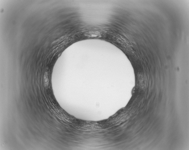 X0000086881442200705141358