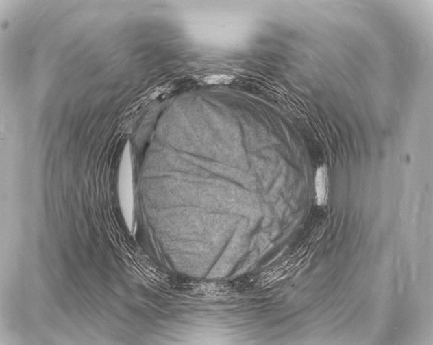 X0000086881443200705141358