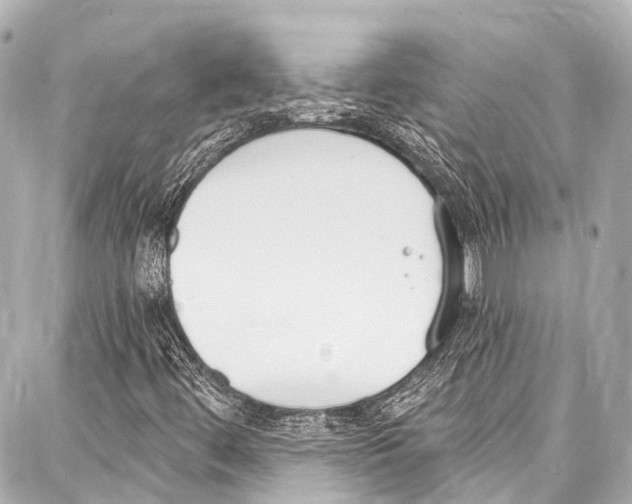 X0000086881444200705141358