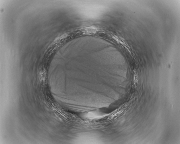 X0000086881445200705141358