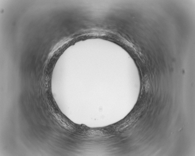 X0000086881448200705141358