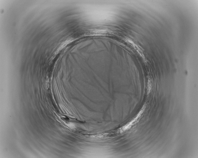 X0000086881449200705141358