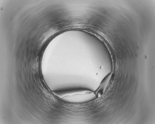 X0000086881450200705141358