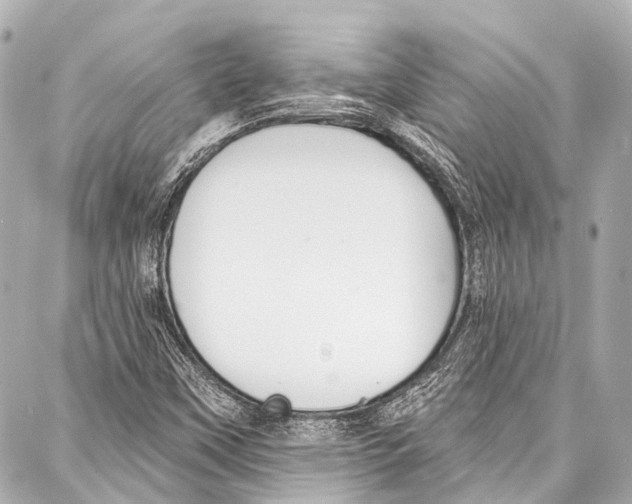 X0000086881451200705141358