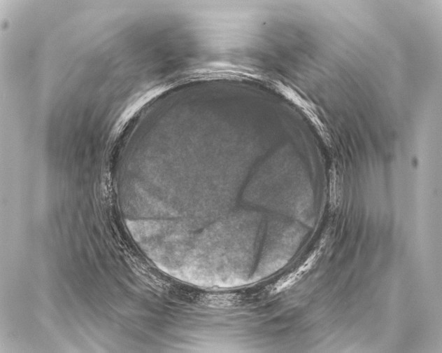 X0000086881453200705141358