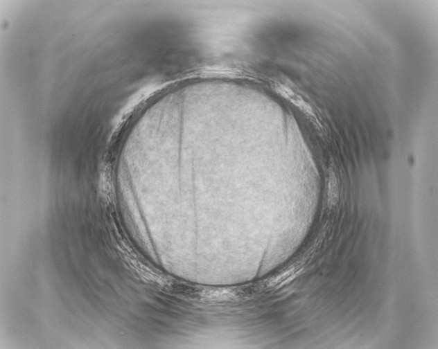 X0000086881454200705141358