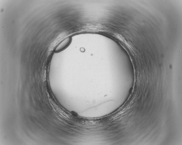 X0000086881459200705141358