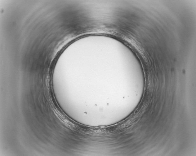 X0000086881460200705141358