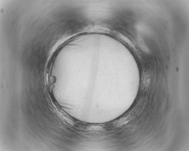 X0000086881462200705141358