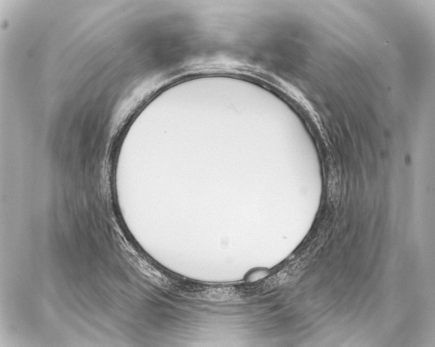 X0000086881464200705141358