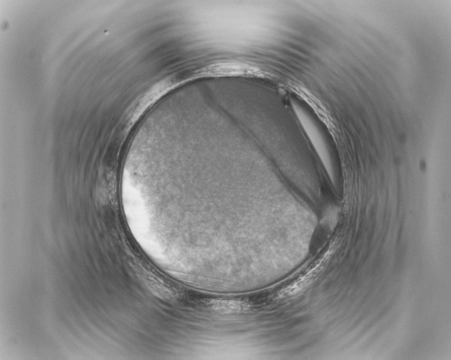 X0000086881465200705141358