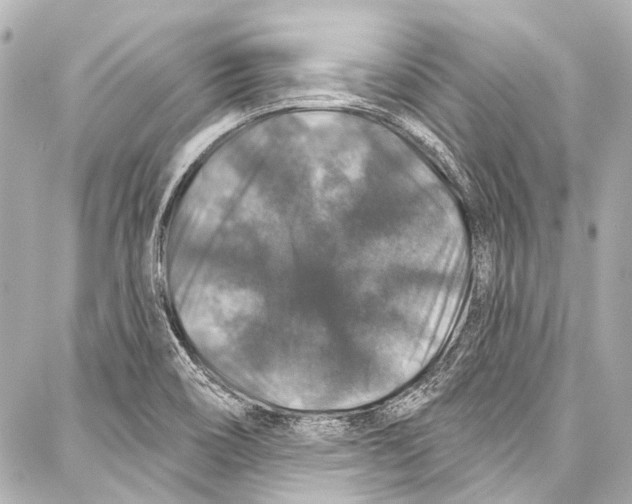 X0000086881466200705141358