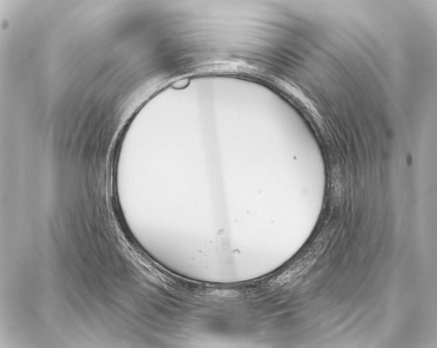 X0000086881467200705141358