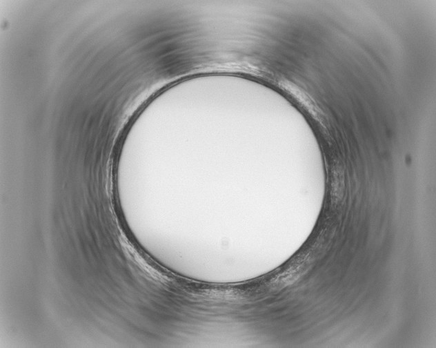 X0000086881468200705141358