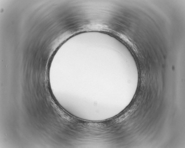 X0000086881469200705141358