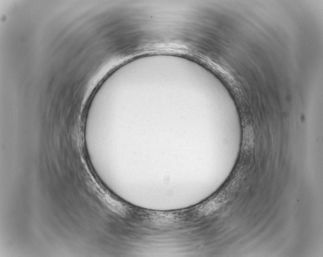 X0000086881470200705141358