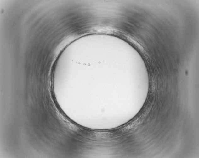 X0000086881471200705141358