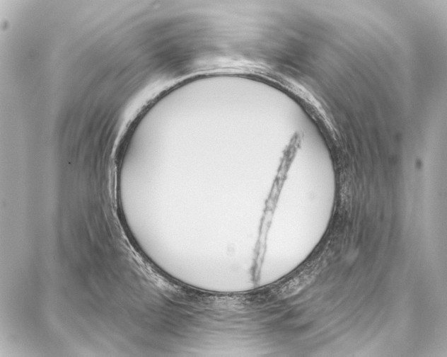 X0000086881472200705141358